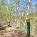 순직산업전사위령탑 이미지