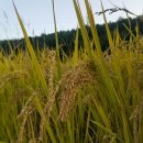 (주)용문기업 이미지