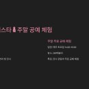 2025년 강서봄빛페스타 이미지