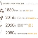 보고커피중 이미지