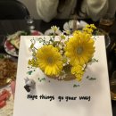 오르브와 이미지