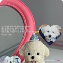 퍼피케크 이미지