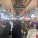 서귀포국제공인중개사사무소 이미지