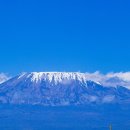 사랑지기 이미지