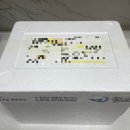 (주)청해 | 온라인 수산물마켓 시킬만할까? - 청해수산 내돈 내산