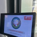 베이징양꼬치 - 강북구 한천로 1040 | 수유 : [베이징 양꼬치] 양갈비 내돈내산 솔직후기, 냄새 없이 부드러움
