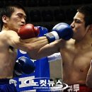 크로스펀치 이미지