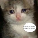 [2024] 5월 일기 - 크고 작은 행복들이 가득해