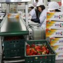 고산농협 경축순환자원화센터 이미지