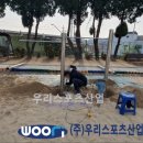 탄현초등학교 이미지