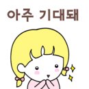 스테이-오롯 이미지