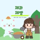 4674 | 부산 디저트 원데이 초코 마들렌 클래스 후기