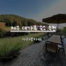 사라보카 이미지