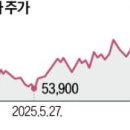 개미플러스