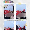 포토그레이시흥