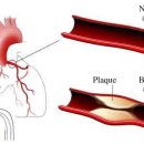 건강한 가정의학과의원 이미지