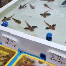 보민수산 이미지