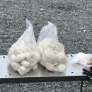 그리고 캠핑장 이미지