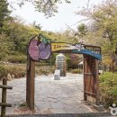 영바이브 이미지