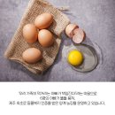 제주웰빙영농조합법인 이미지