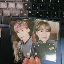 날라리 캣 | 세븐틴 팔로우 어게인 상암 서울콘 후기