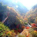 11월 정기산행 순창 강천산(단풍산행) 이미지