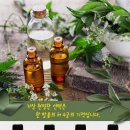 궁에스테틱