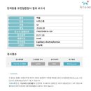 랙돌캐터리 알렉산더돌스 이미지