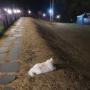 까망봉다리 이미지