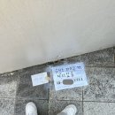 성현체육관 | 뉴키즈 파이널과 MBC 음악중심 공방 후기
