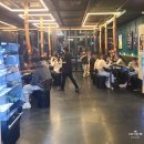 [제주도] 늦은 여행 짤털이 😎