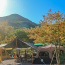 새들펜션캠핑장 이미지