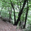 동해시-08 이미지