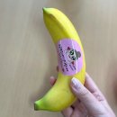 과일나라커피공장