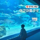 뀰아쿠아 네이버블로그