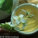 화정한의원 이미지