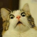 라임&리듬 이미지