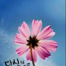 빅쇼 이미지