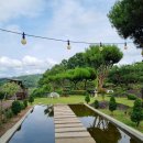 옥천밸리 이미지