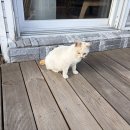 회동수원지 | 부산 회동수원지 방문 후기 | 봄에 가기 좋은 금정구 산책 코스 추천🌸