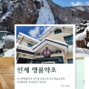 인제건강약초 네이버블로그