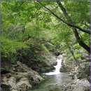 명경한우 | 무주 구천동 계곡, 백련사 탐방로 후기, 장수 한우랑 사과 축제, 장수 논개사당 의암사