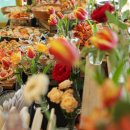 마레파티하우스 이미지