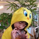 김해낙동강레일파크 이미지