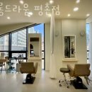 살롱드라움 - 목포시 옥암로 95 | 살롱드라움