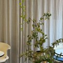 전포역 7번 출구 이미지