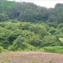 남해-309 이미지