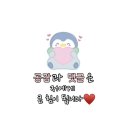 청주 식당 추천- 로로삼계탕 (비하동)
