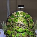 아쿠아플랜트디자인 이미지