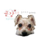 전하울스테이 이미지